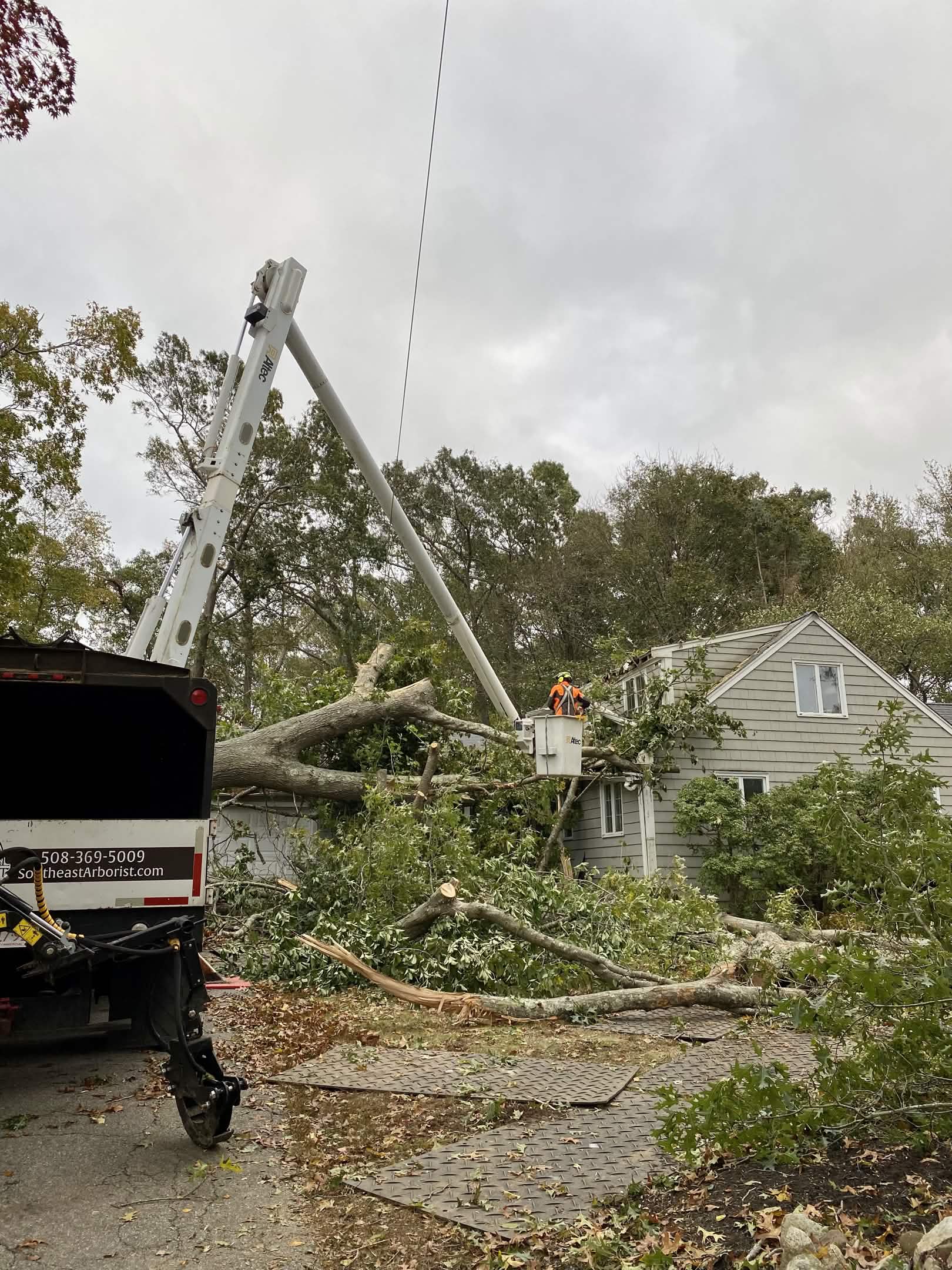 Emergency tree removal - tree fallen on house in South Shore MA