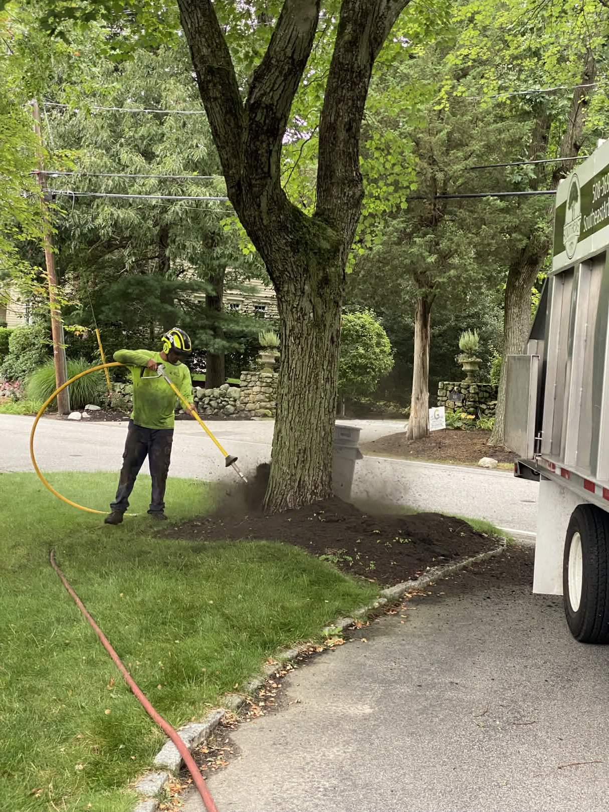 Southeast Arborist insurance claims assistance work - photo 2