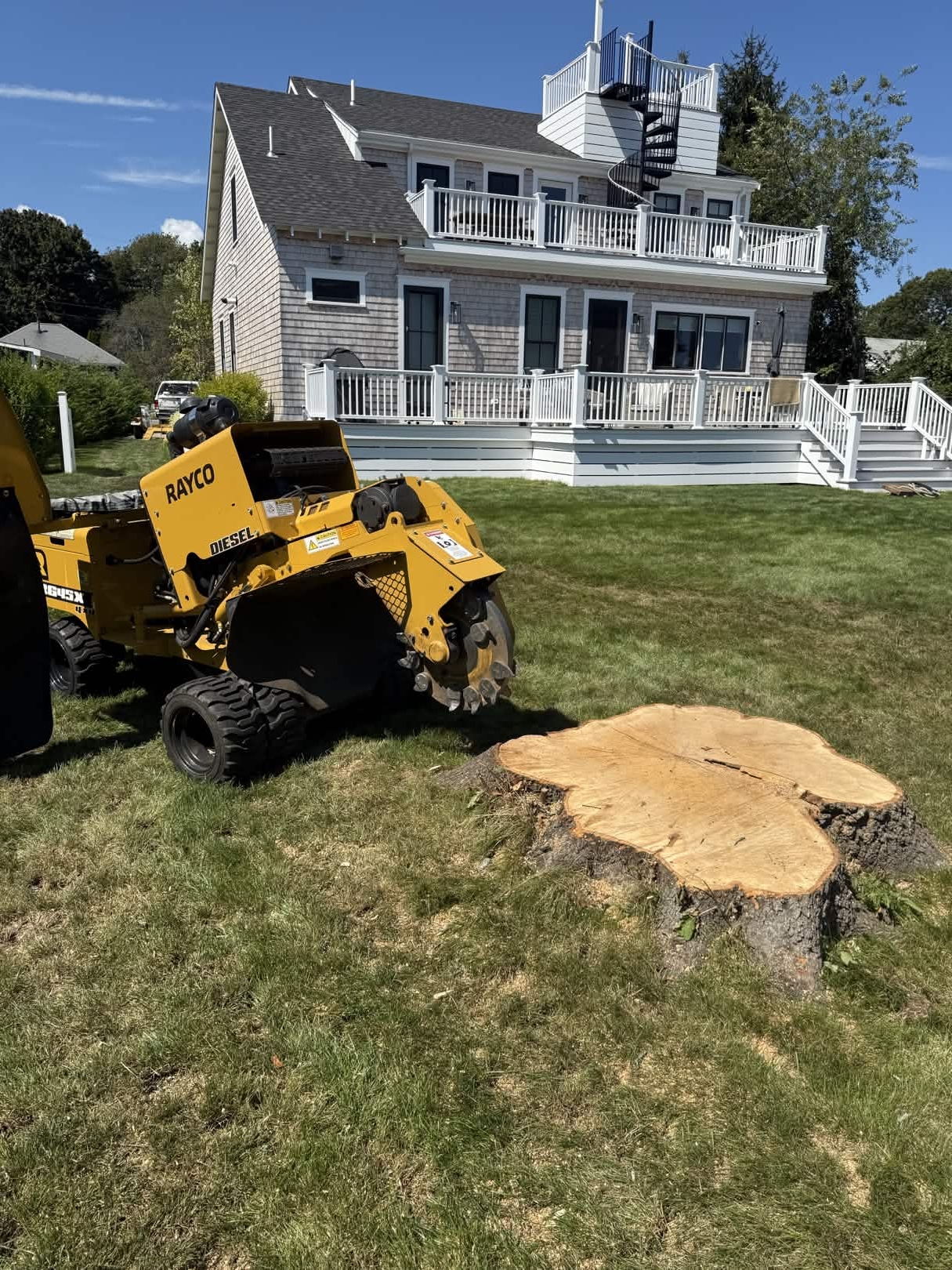 Rayco stump grinder at work